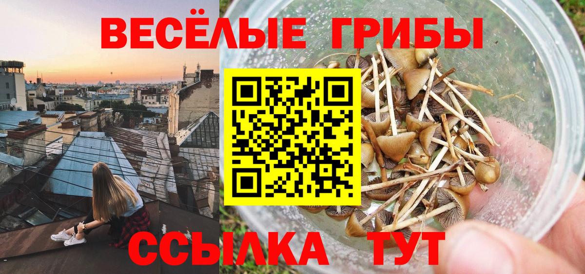 Галлюциногенные грибы Magic Shrooms Сочи